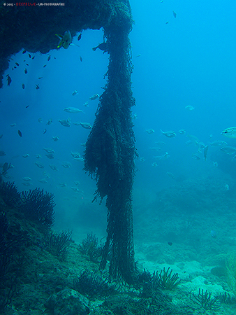 "verlorenes" Fischernetz